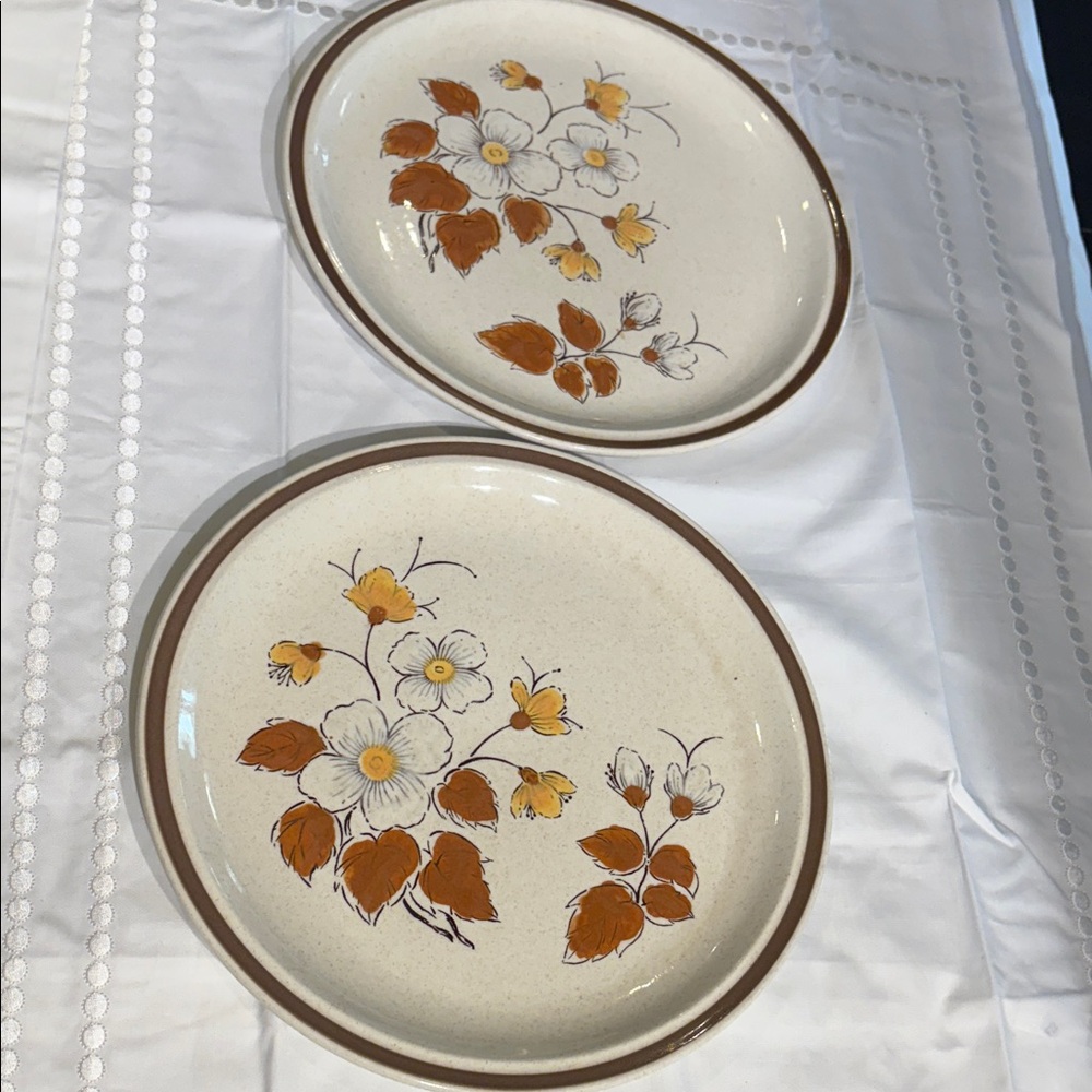 Forma-stone Teresita Jose Stoneware Indian Summer dinner plates set of 2-vintage